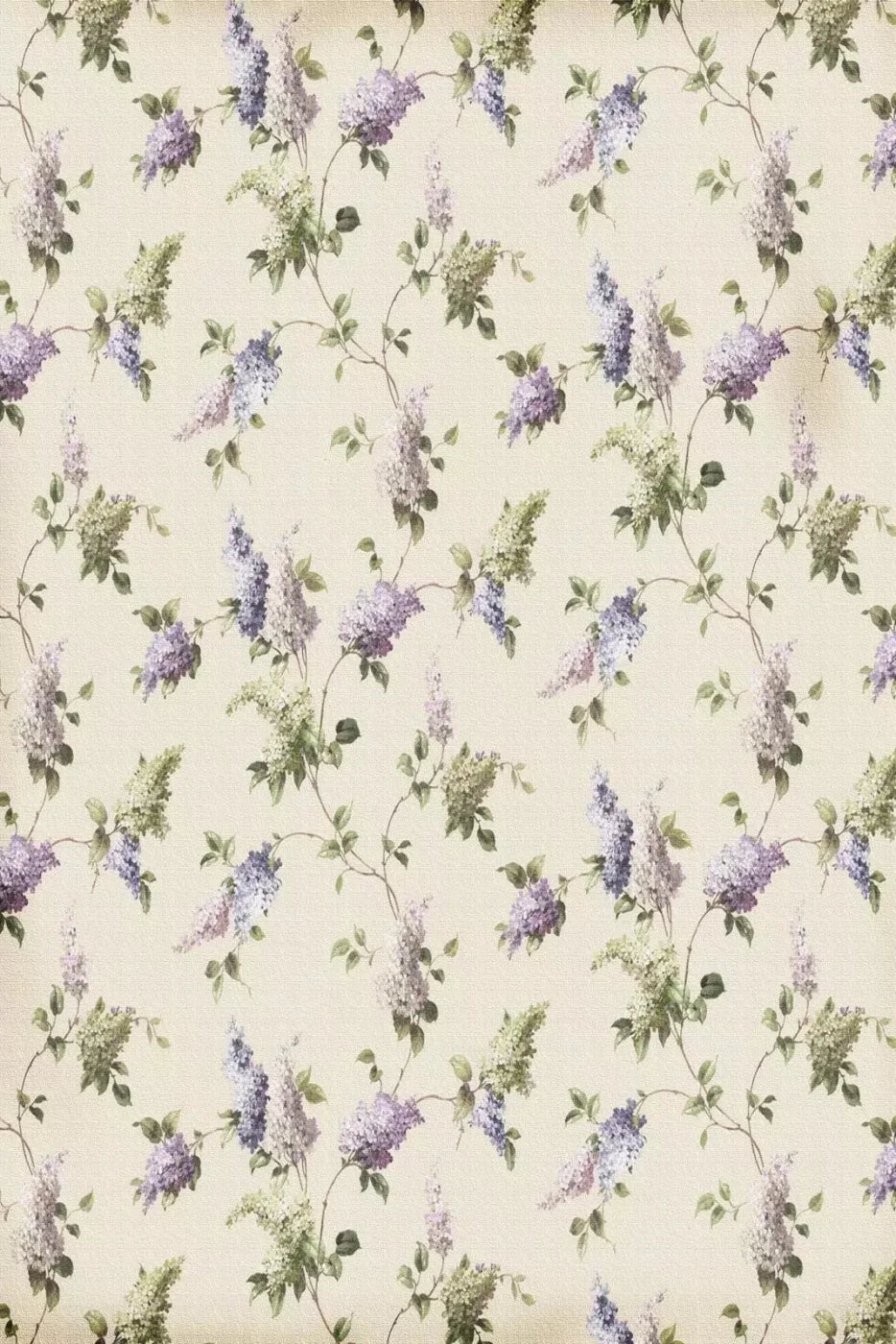 Mabel Backdrop