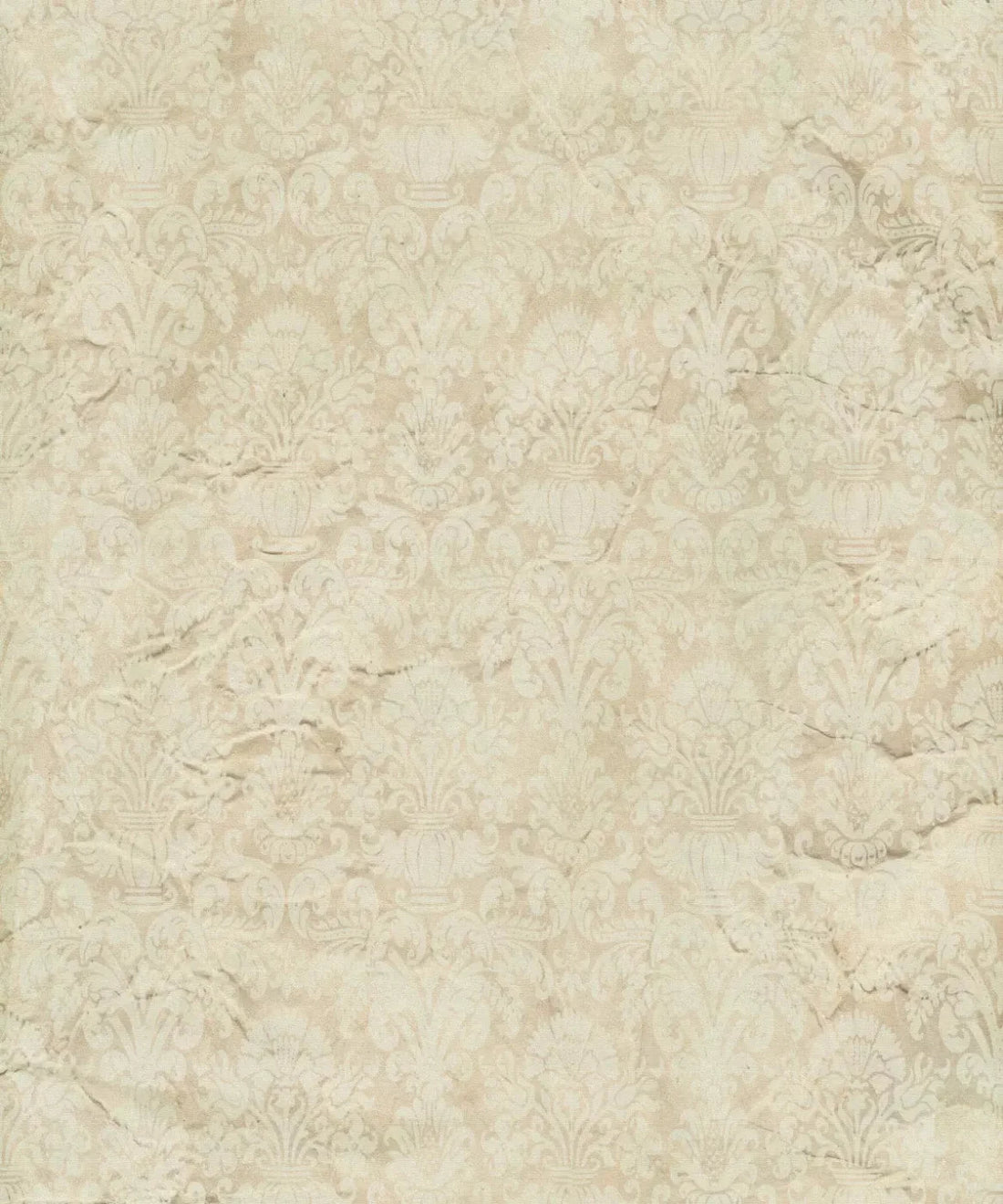 Beige Damask Backdrop for Photography