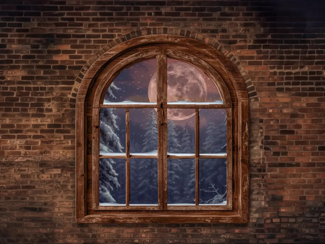 Magic of Santa Window No Santa Backdrop