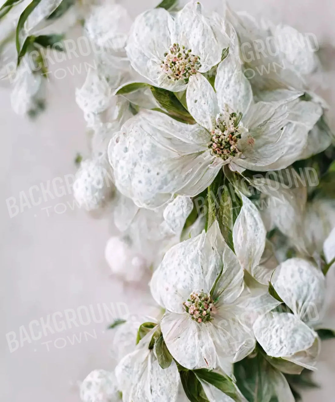 White Floral Backdrop for Photography