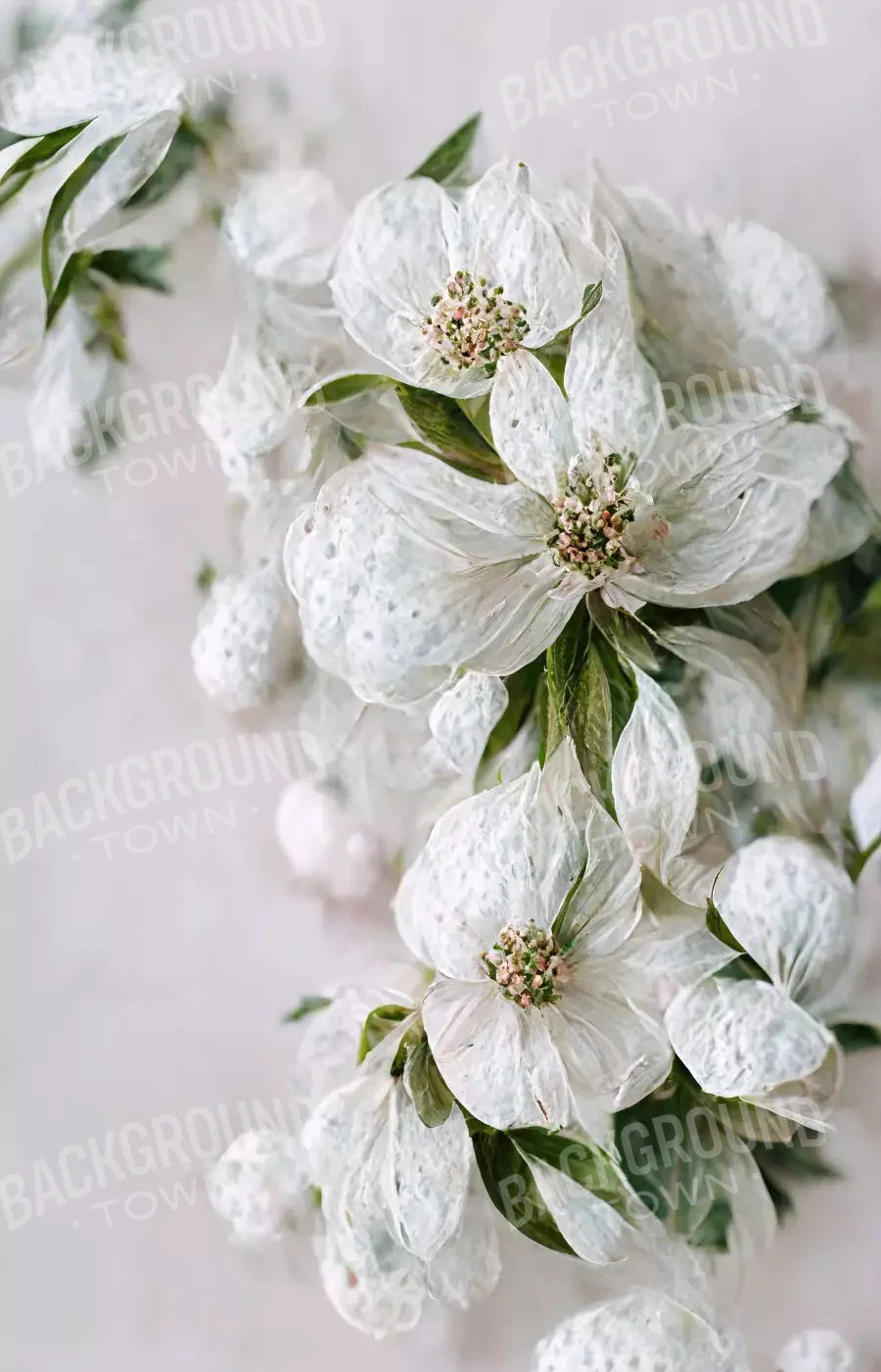 Magnolia 8X12 Ultracloth ( 96 X 144 Inch ) Backdrop
