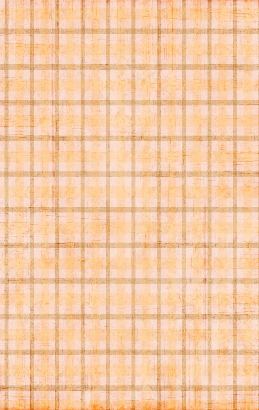 Mango Plaid 10X16 Ultracloth ( 120 X 192 Inch ) Backdrop