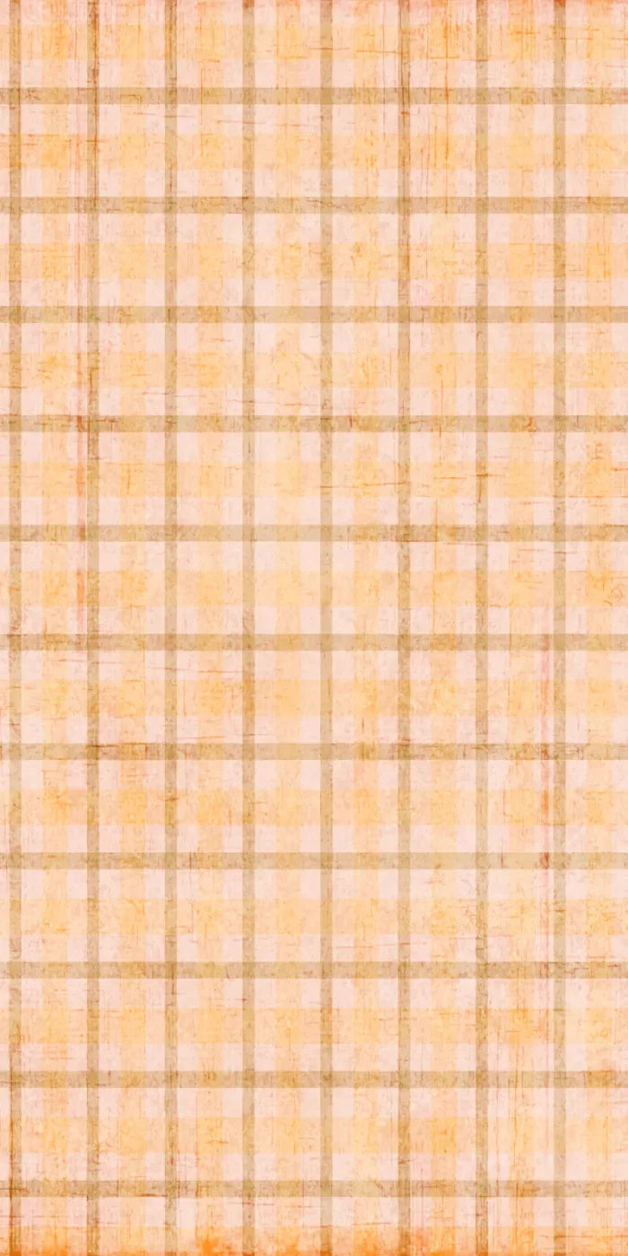 Mango Plaid 10X20 Ultracloth ( 120 X 240 Inch ) Backdrop