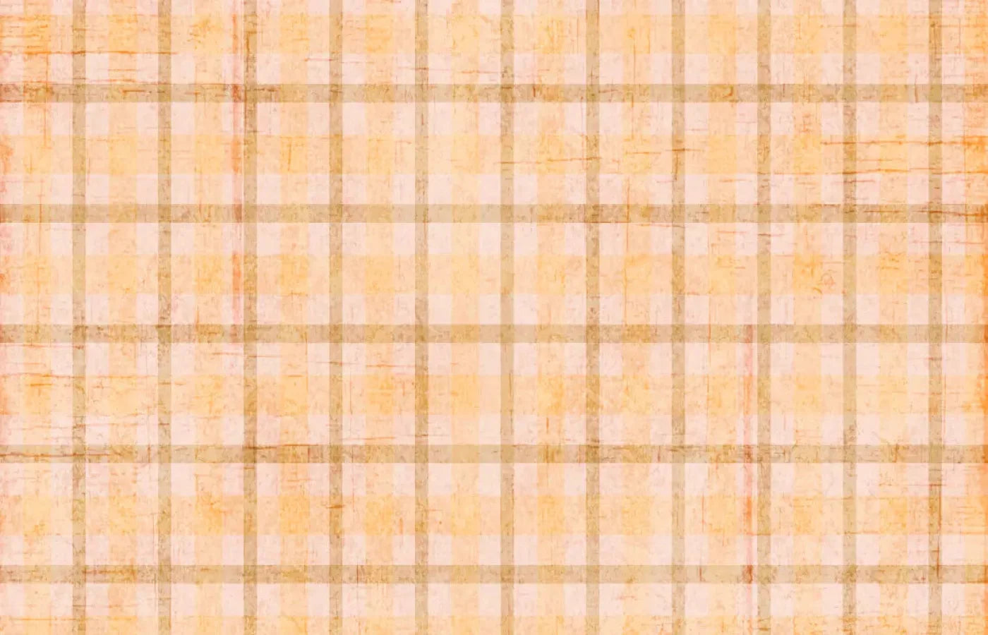 Mango Plaid 12X8 Ultracloth ( 144 X 96 Inch ) Backdrop