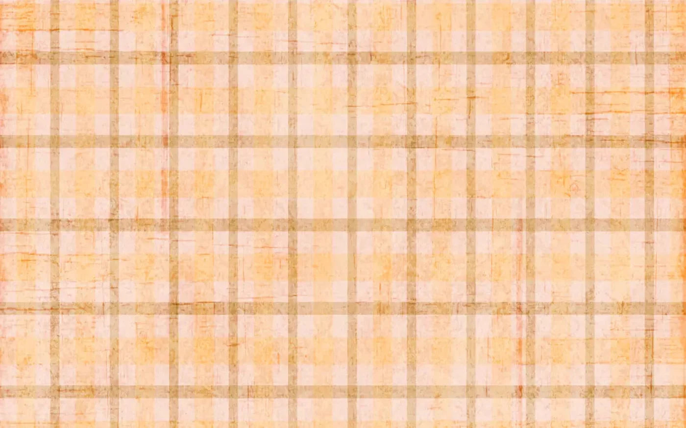 Mango Plaid 14X9 Ultracloth ( 168 X 108 Inch ) Backdrop