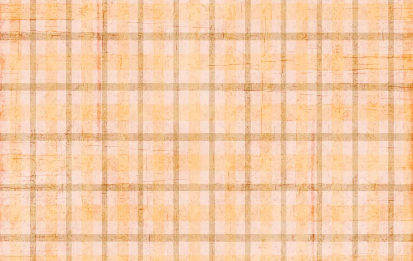 Mango Plaid 16X10 Ultracloth ( 192 X 120 Inch ) Backdrop