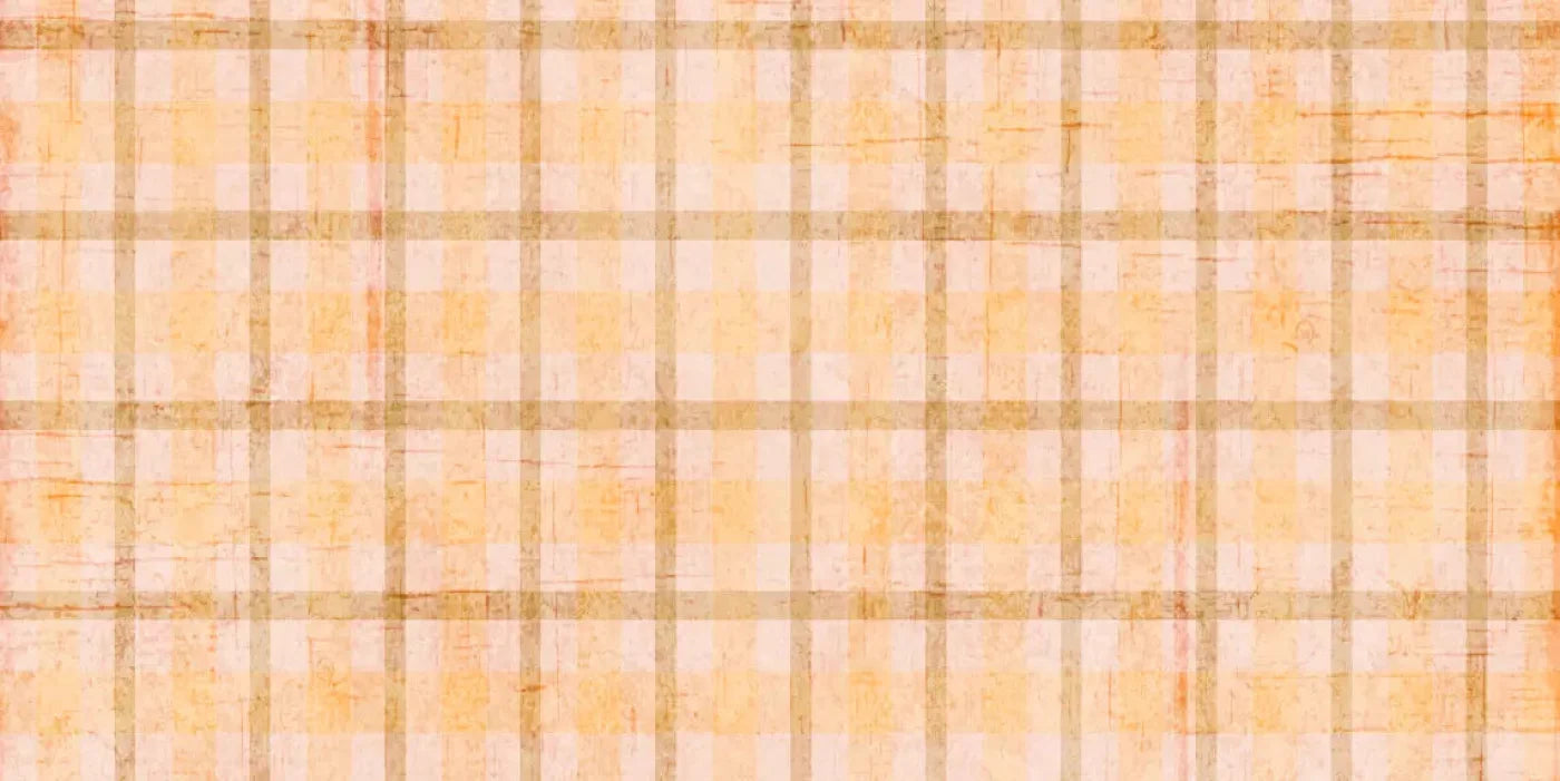 Mango Plaid 20X10 Ultracloth ( 240 X 120 Inch ) Backdrop