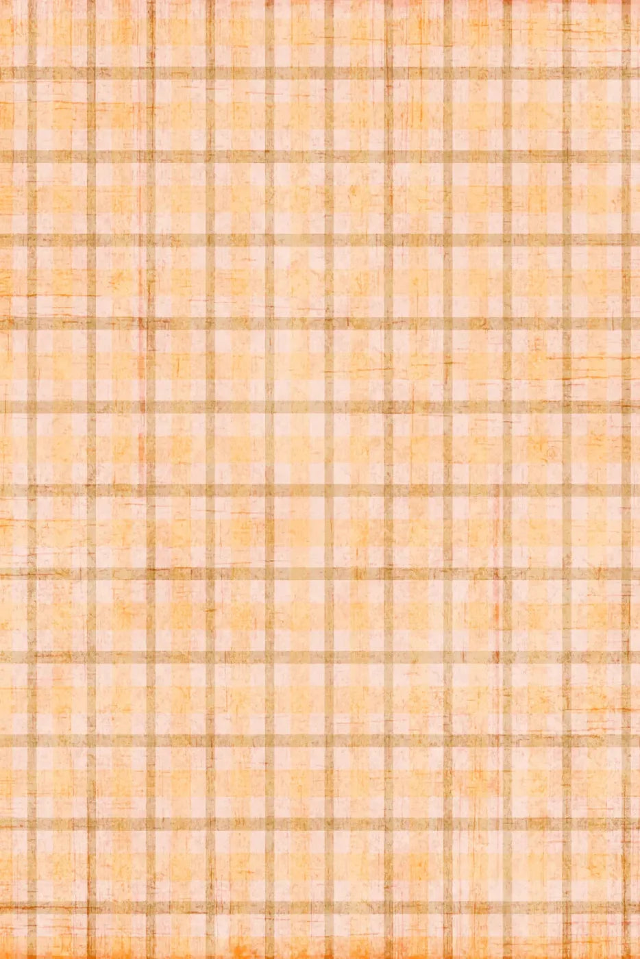 Mango Plaid 5X8 Ultracloth ( 60 X 96 Inch ) Backdrop