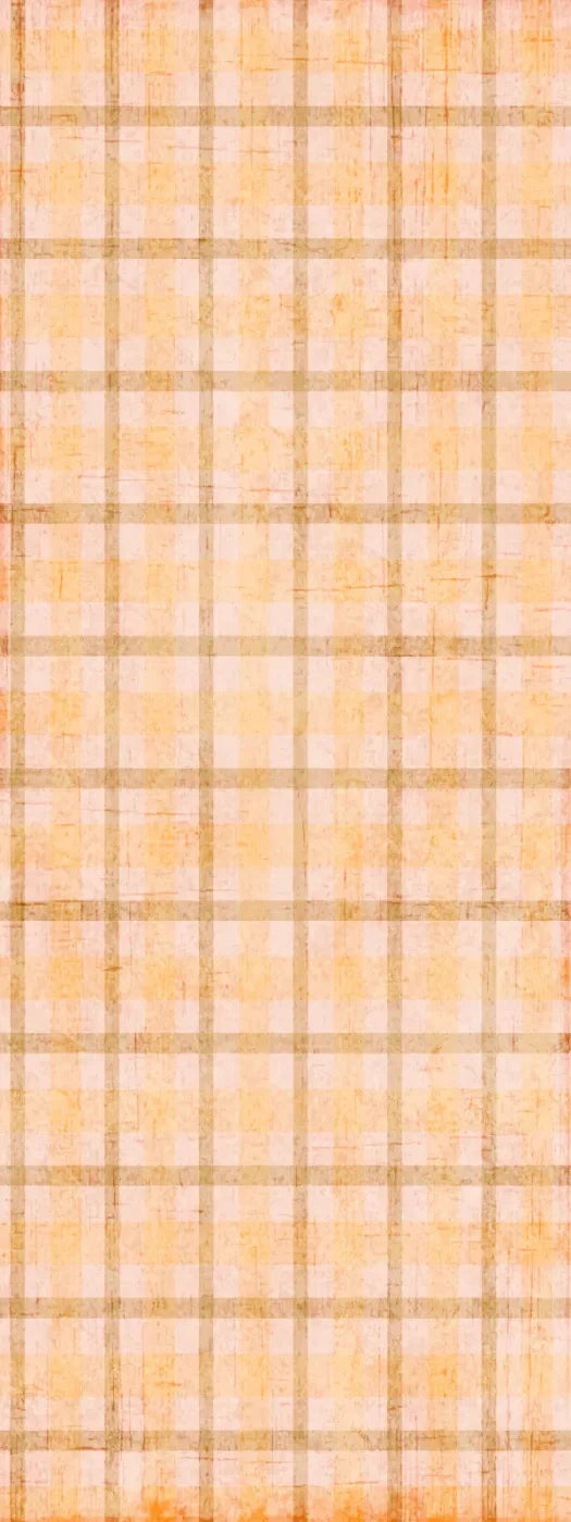 Mango Plaid 8X20 Ultracloth ( 96 X 240 Inch ) Backdrop