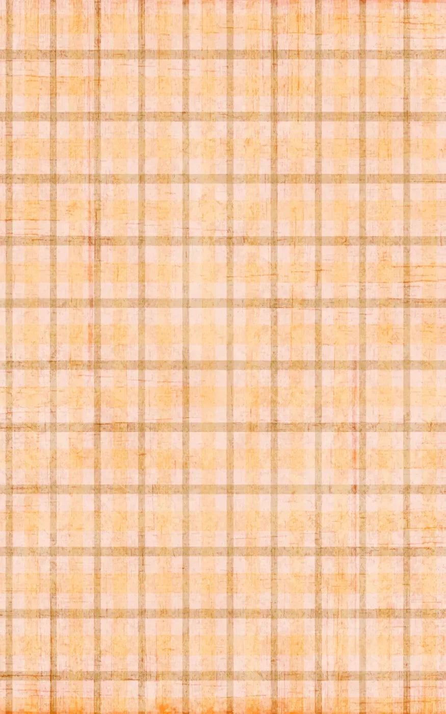 Mango Plaid 9X14 Ultracloth ( 108 X 168 Inch ) Backdrop