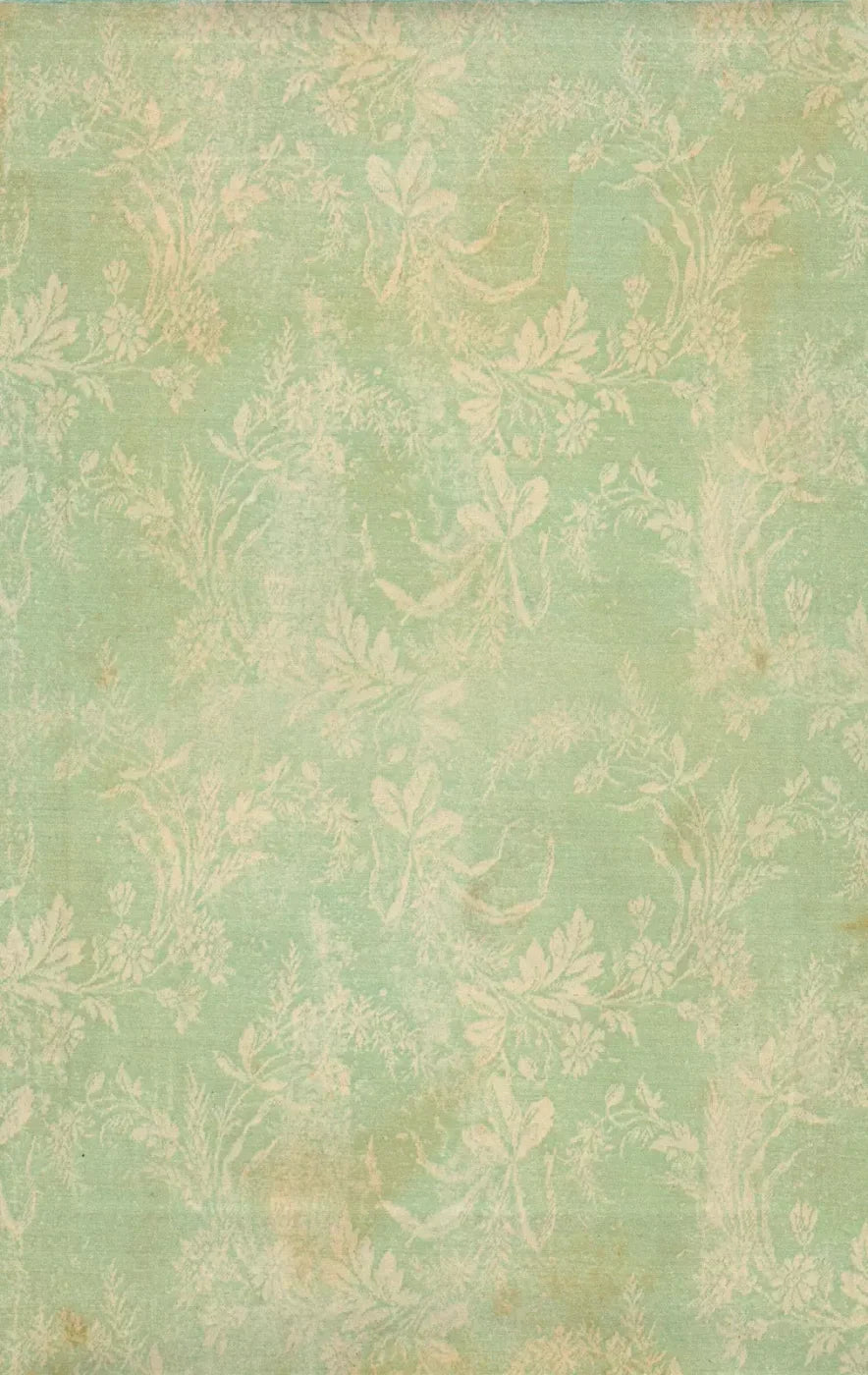 Martha 10’X16’ Ultracloth (120 X 192 Inch) Backdrop