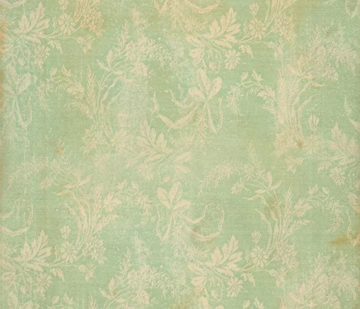 Martha 12’X10’ Ultracloth (144 X 120 Inch) Backdrop