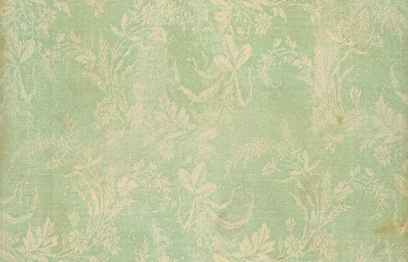 Martha 12’X8’ Ultracloth (144 X 96 Inch) Backdrop