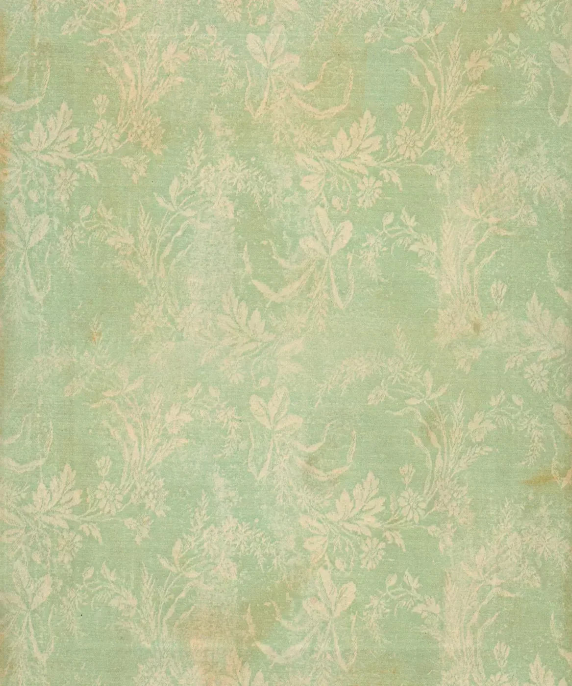 Green Damask Backdrop for Photography