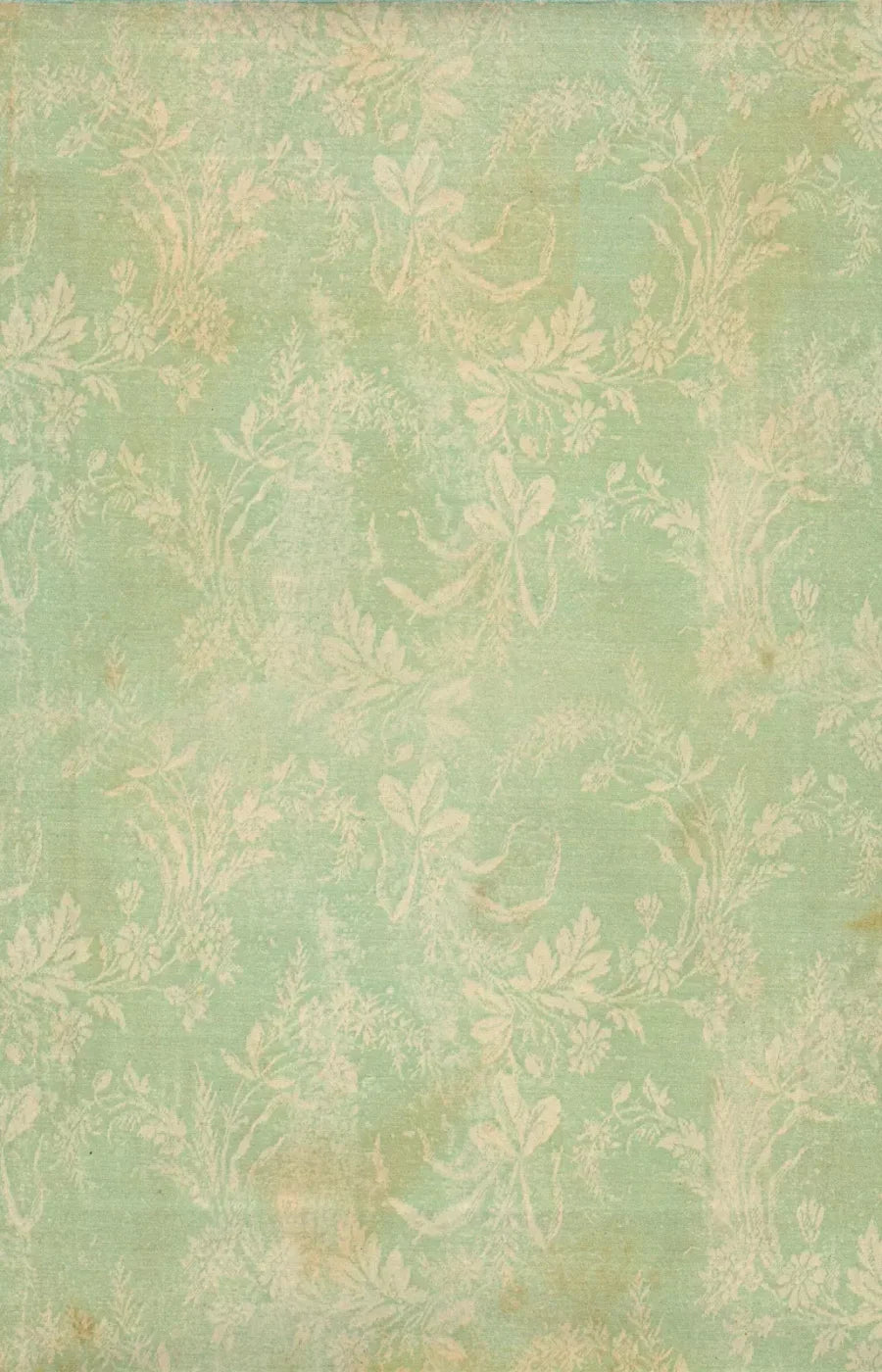 Martha 8’X12’ Ultracloth (96 X 144 Inch) Backdrop