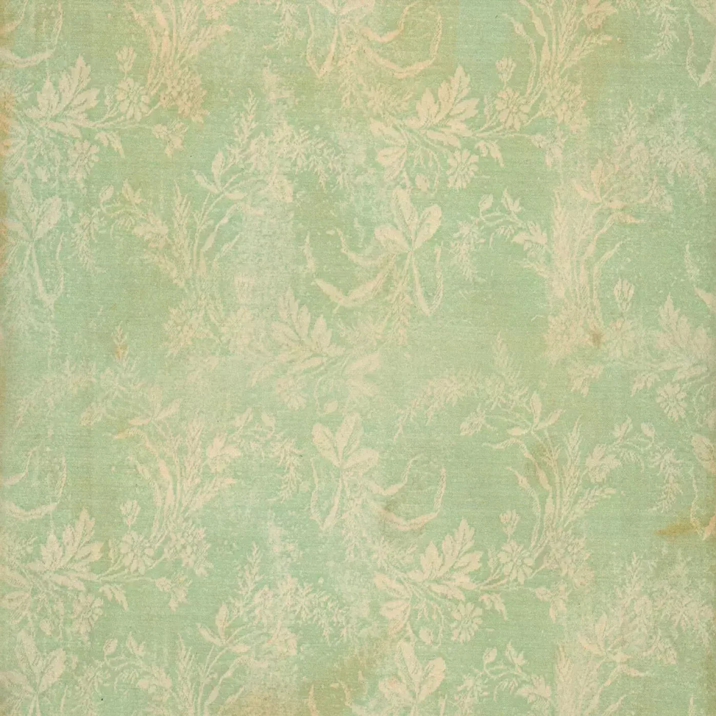 Martha Backdrop
