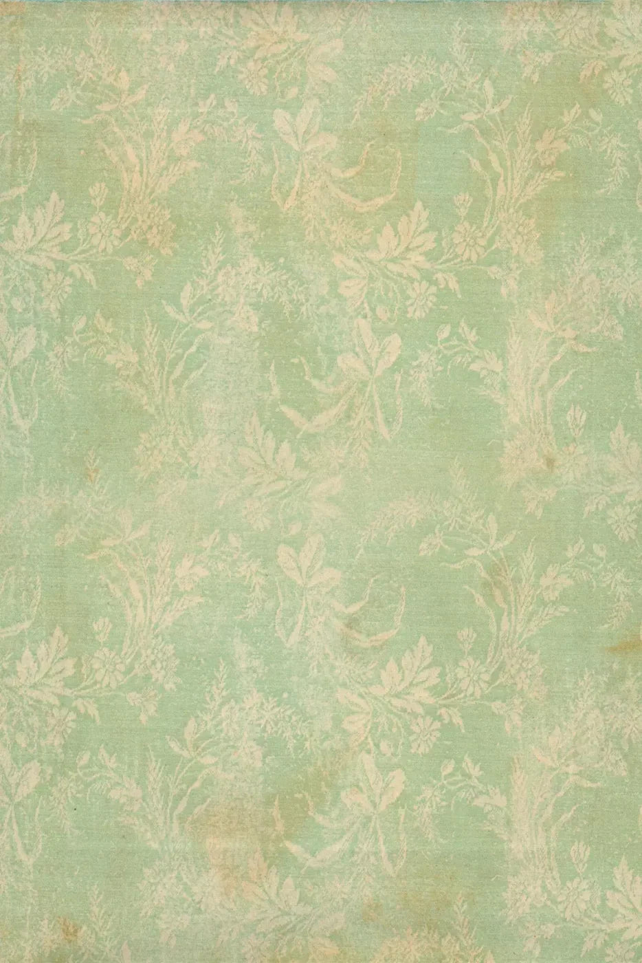 Martha Backdrop