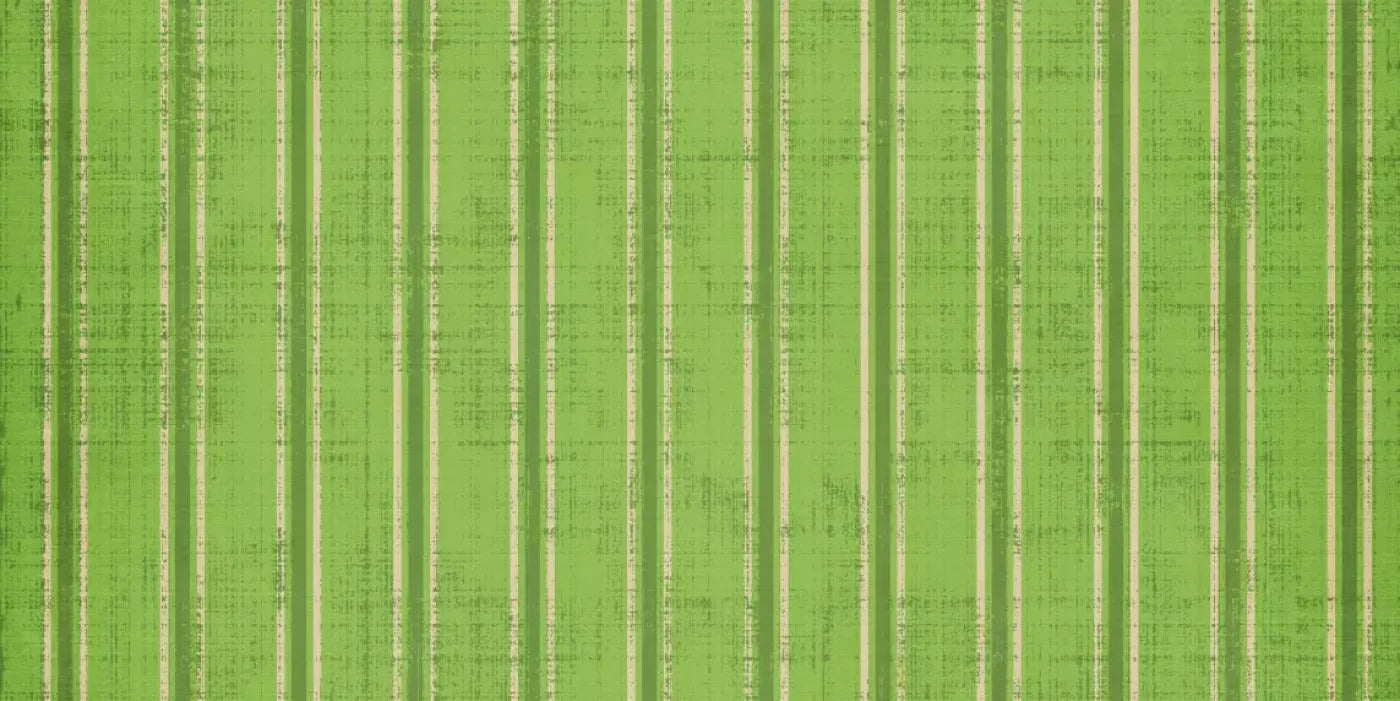 Mason 20’X10’ Ultracloth (240 X 120 Inch) Backdrop