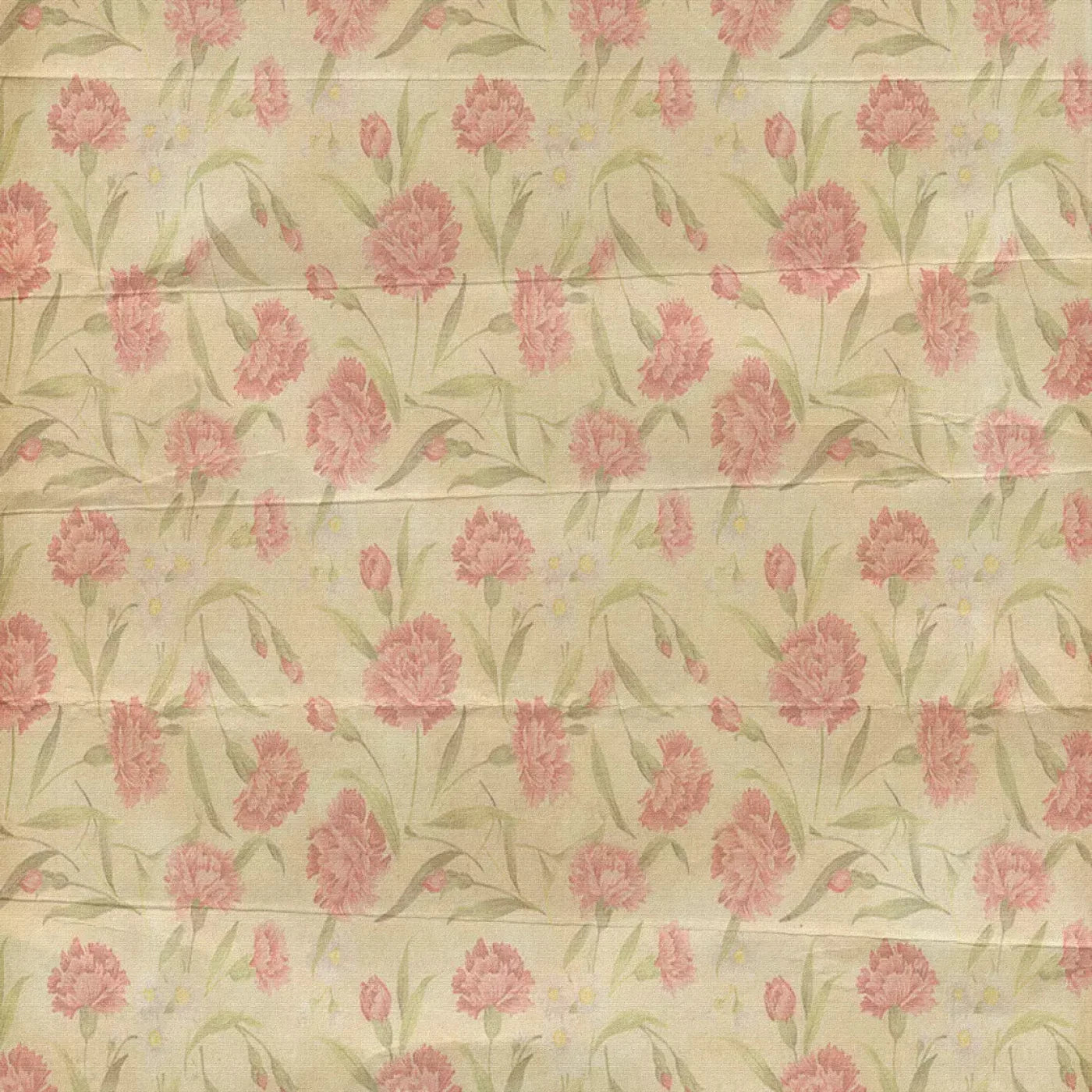 May Backdrop