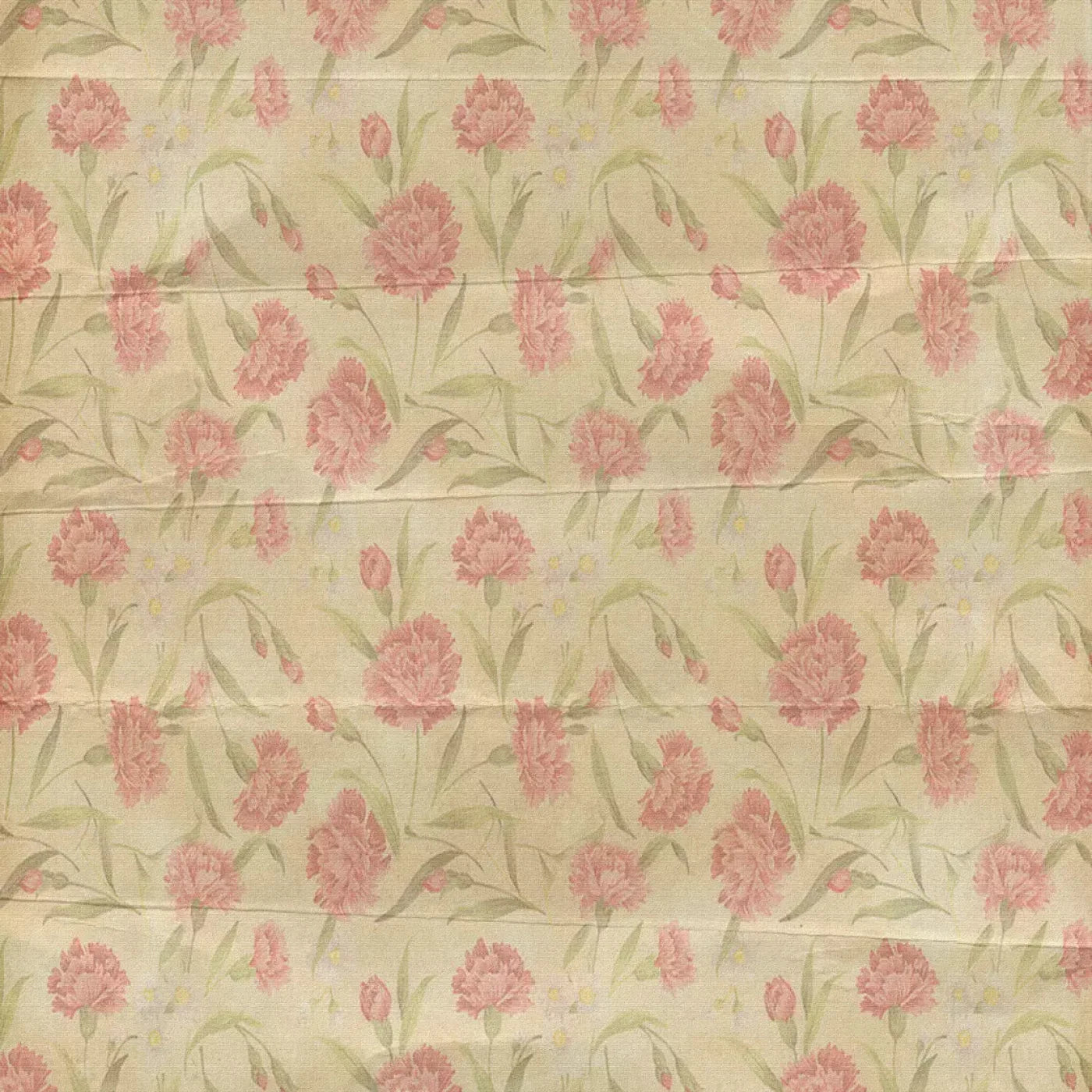 May Backdrop