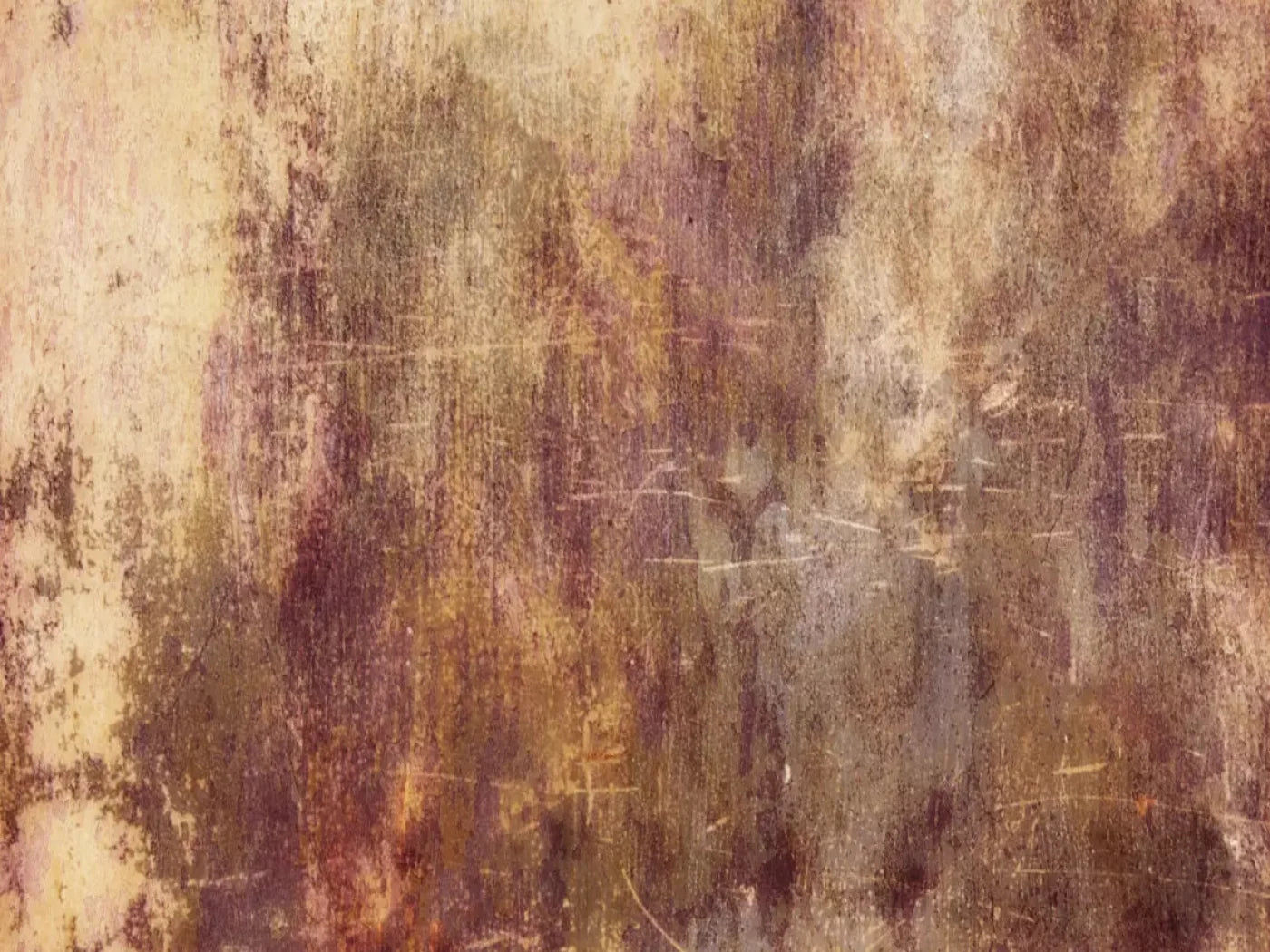 Meadowlark 10X8 Fleece ( 120 X 96 Inch ) Backdrop