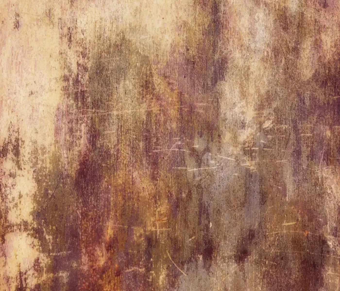Meadowlark 12X10 Ultracloth ( 144 X 120 Inch ) Backdrop