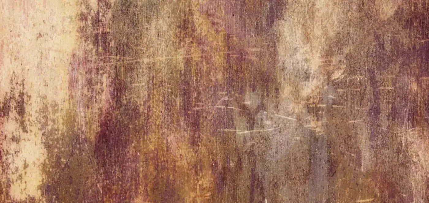 Meadowlark 16X8 Ultracloth ( 192 X 96 Inch ) Backdrop