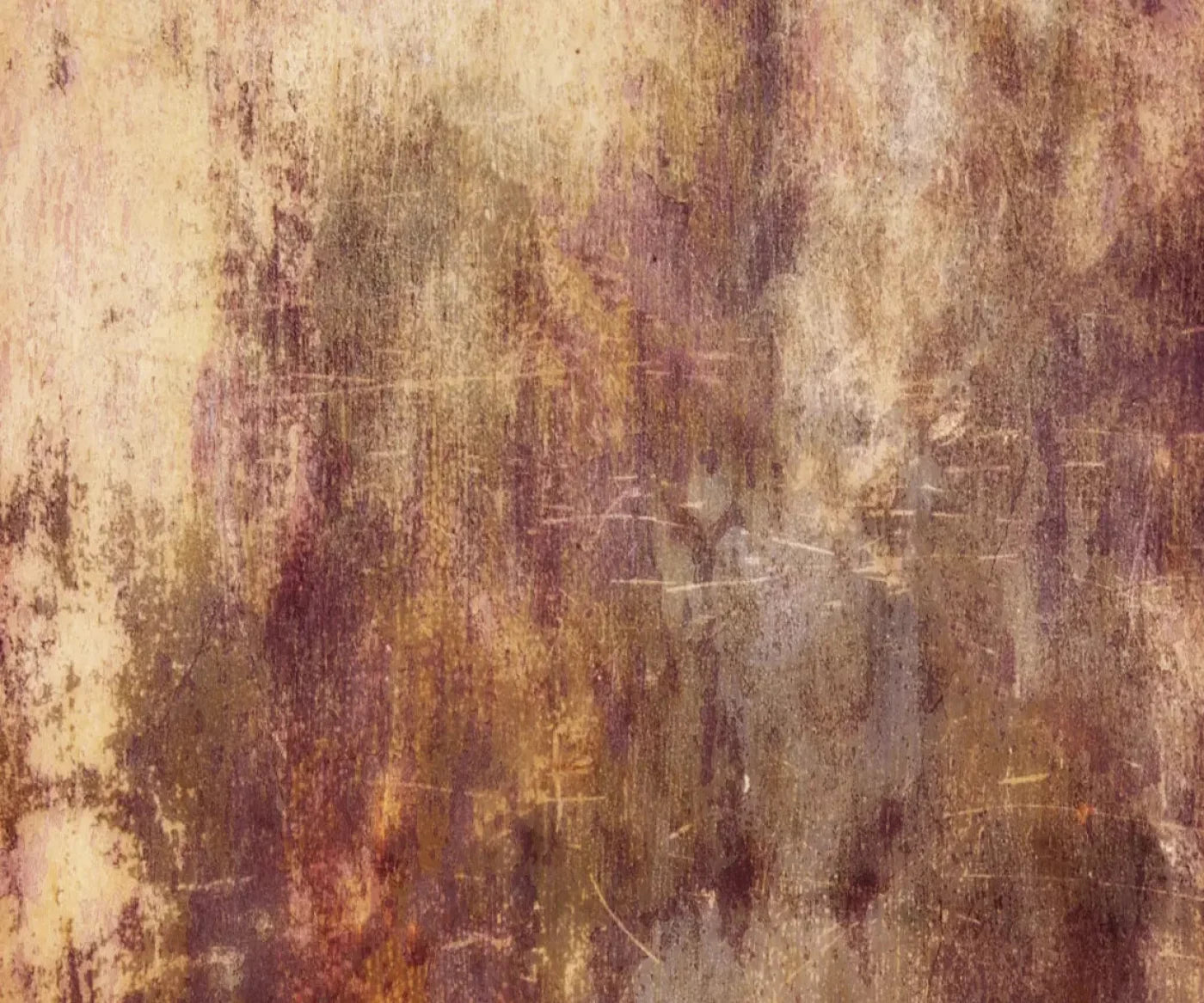 Meadowlark 5X42 Fleece ( 60 X 50 Inch ) Backdrop