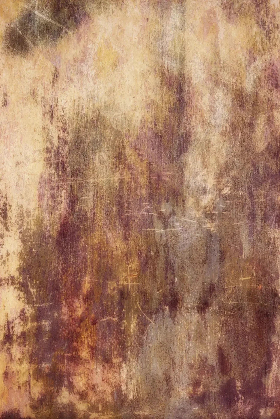 Meadowlark Backdrop