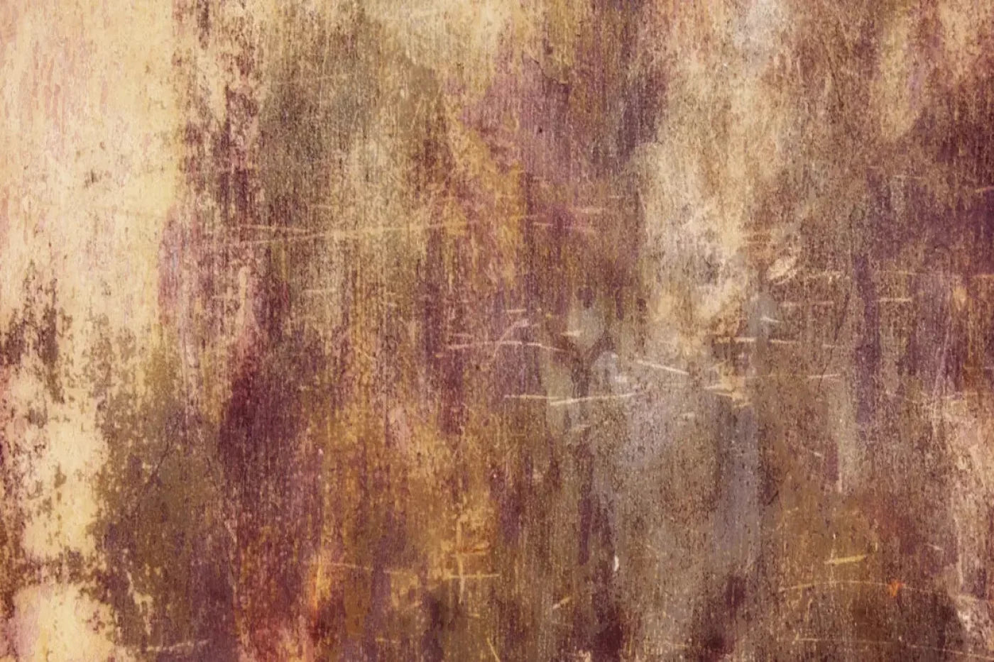 Meadowlark Backdrop