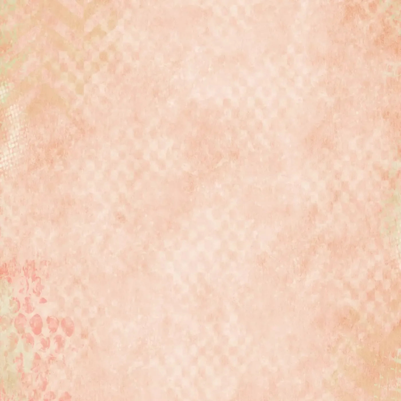 Megan Backdrop