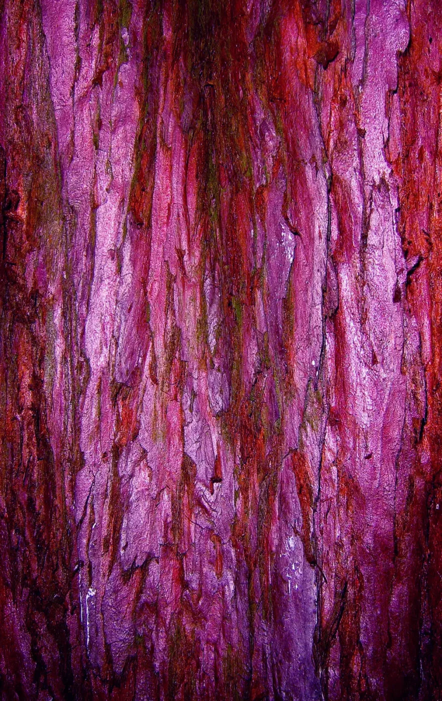 Membraine 10’X16’ Ultracloth (120 X 192 Inch) Backdrop