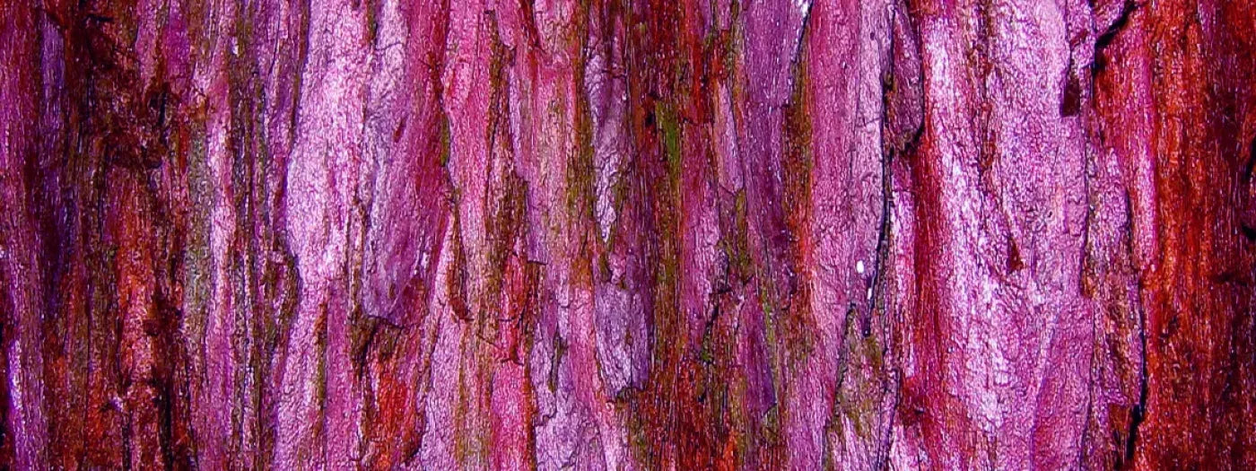 Membraine 20’X8’ Ultracloth (240 X 96 Inch) Backdrop