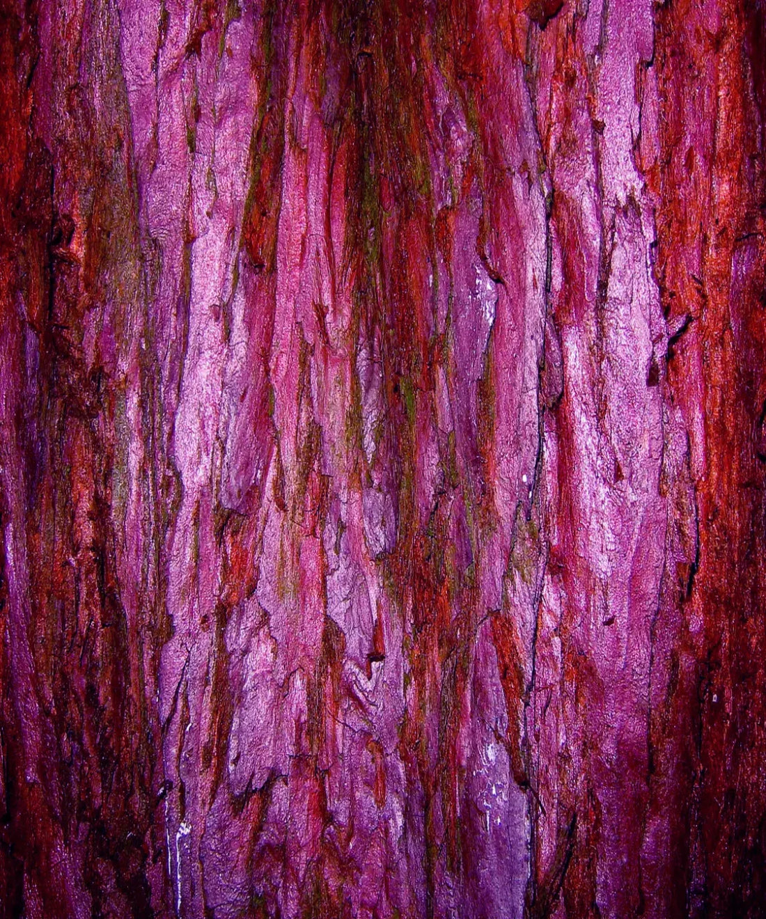 Pink Urban Grunge Backdrop for Photography