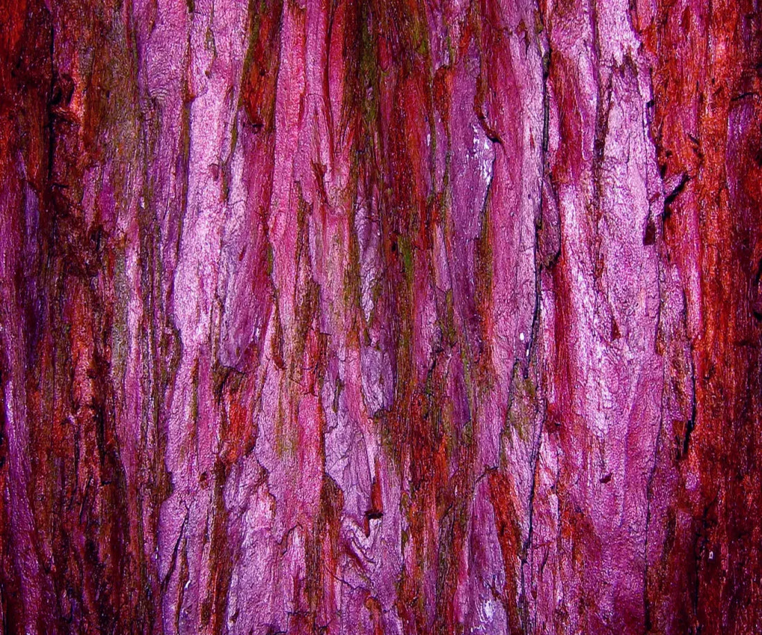 Membraine 5’X4’2’ Fleece (60 X 50 Inch) Backdrop