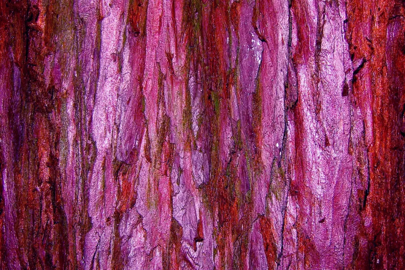 Membraine 8’X5’ Ultracloth (96 X 60 Inch) Backdrop
