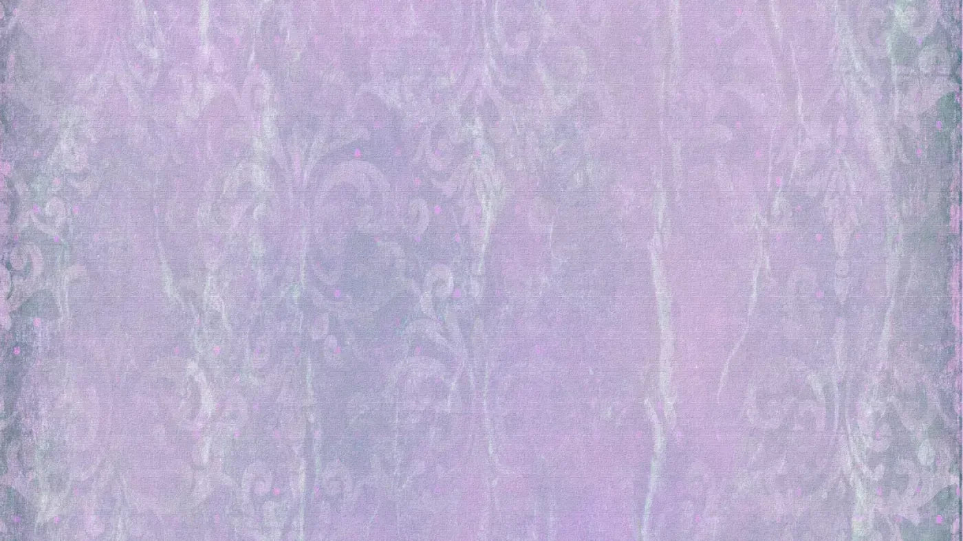 Meredith 14X8 Ultracloth ( 168 X 96 Inch ) Backdrop
