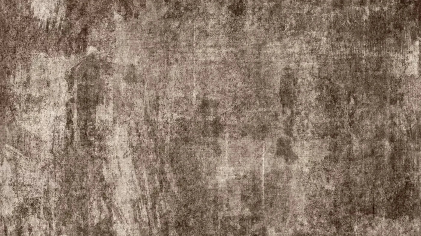 Metro Brown 14X8 Ultracloth ( 168 X 96 Inch ) Backdrop