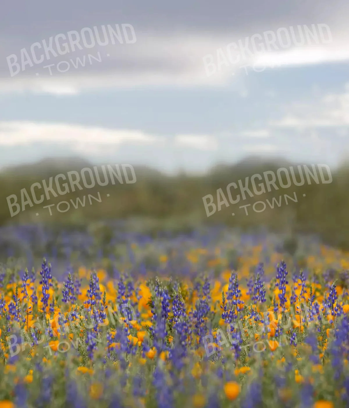 Mexican Poppies 10X12 Ultracloth ( 120 X 144 Inch ) Backdrop
