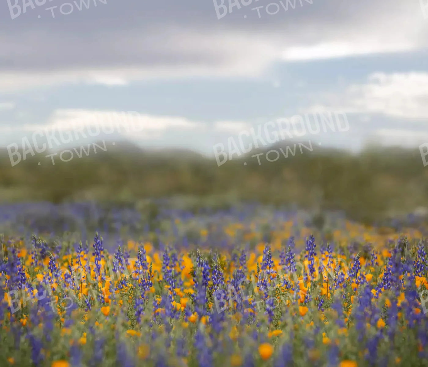 Mexican Poppies 12X10 Ultracloth ( 144 X 120 Inch ) Backdrop