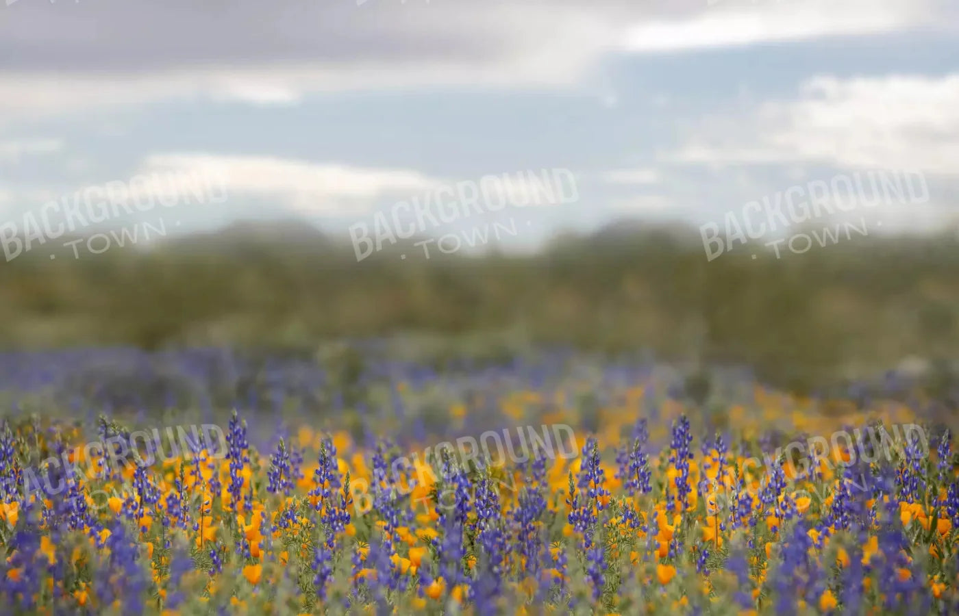 Mexican Poppies 12X8 Ultracloth ( 144 X 96 Inch ) Backdrop