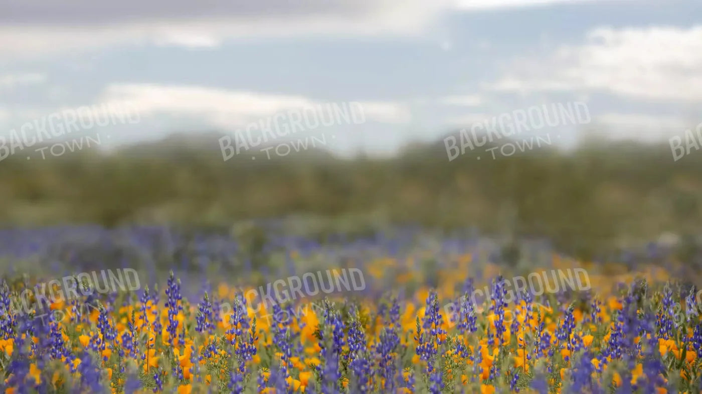 Mexican Poppies 14X8 Ultracloth ( 168 X 96 Inch ) Backdrop