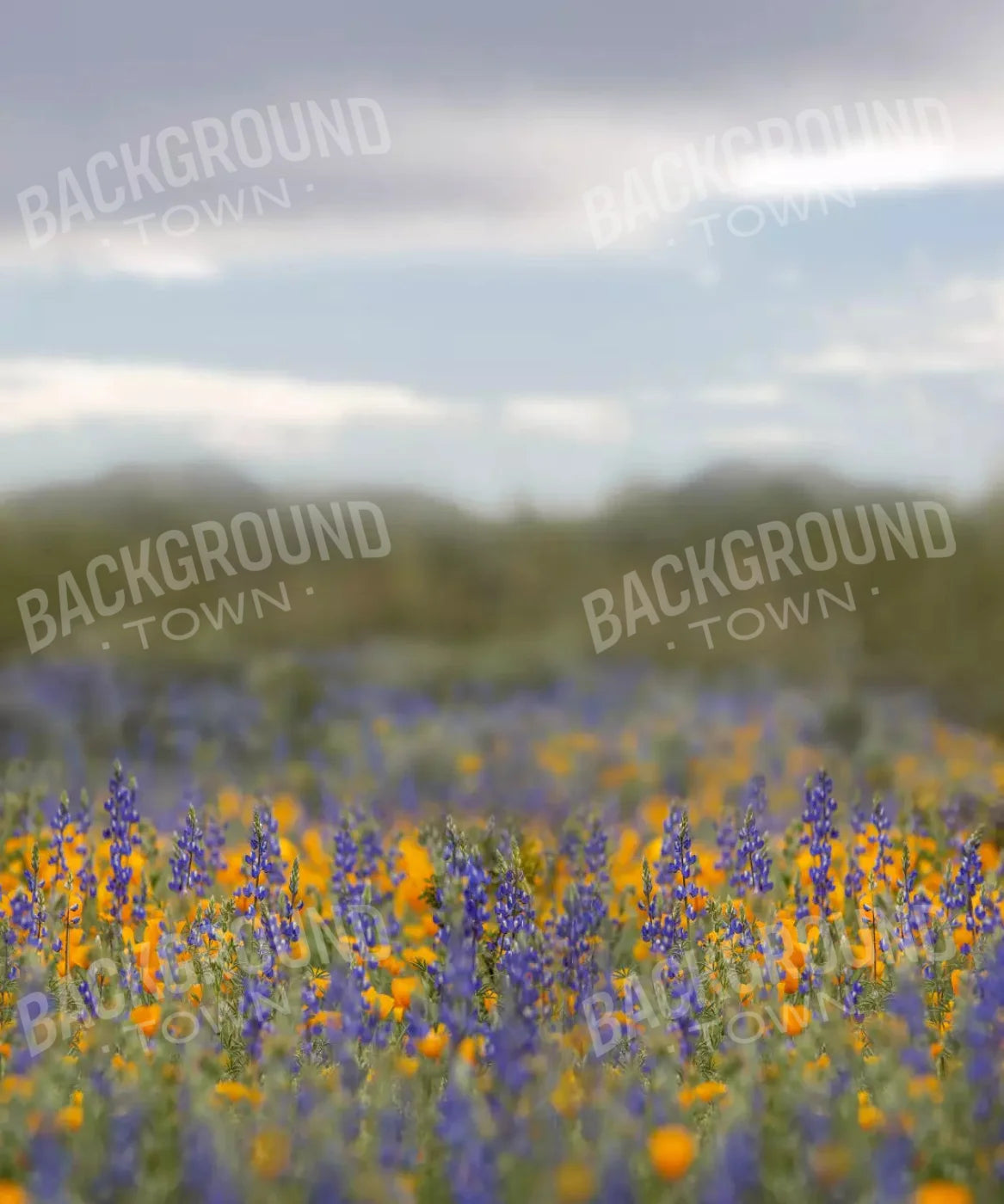 Yellow and Purple Floral Spring Backdrop for Photographyy