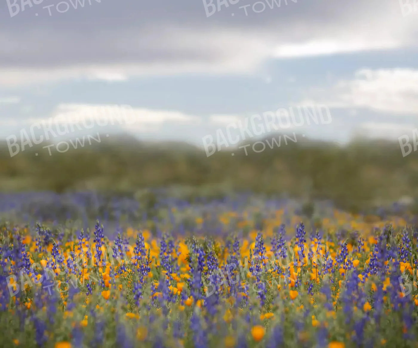 Mexican Poppies 5X42 Fleece ( 60 X 50 Inch ) Backdrop
