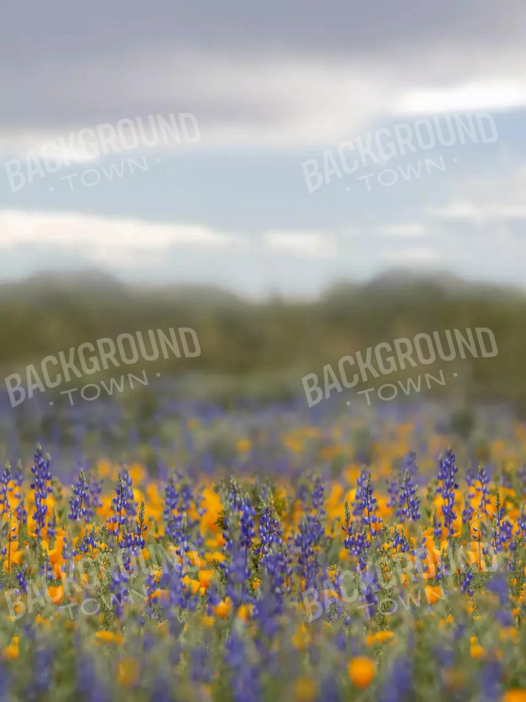 Mexican Poppies 5X7 Ultracloth ( 60 X 84 Inch ) Backdrop