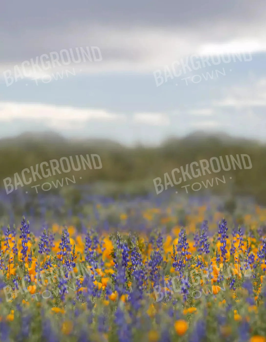 Mexican Poppies 6X8 Fleece ( 72 X 96 Inch ) Backdrop