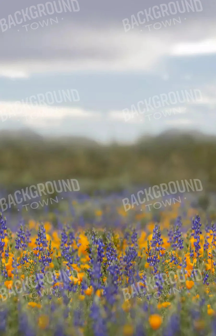 Mexican Poppies 8X12 Ultracloth ( 96 X 144 Inch ) Backdrop