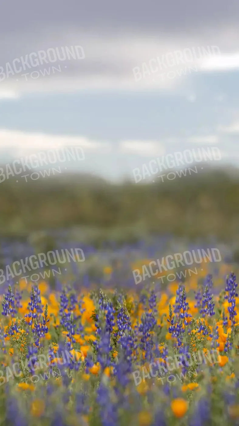 Mexican Poppies 8X14 Ultracloth ( 96 X 168 Inch ) Backdrop