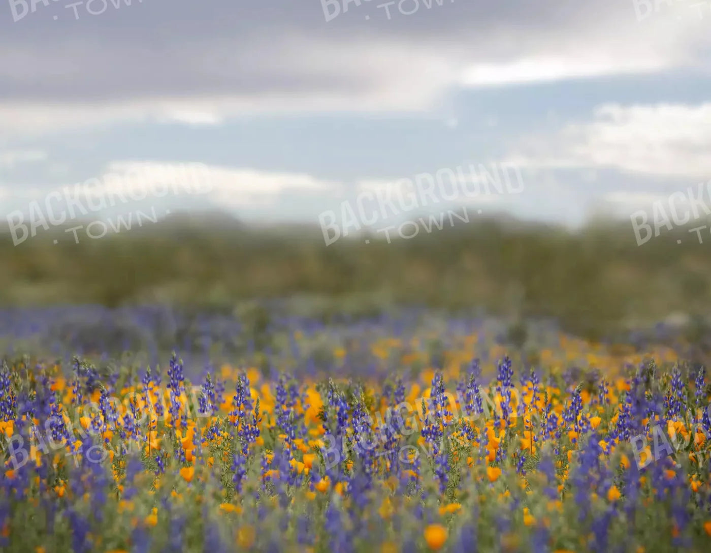 Mexican Poppies 8X6 Fleece ( 96 X 72 Inch ) Backdrop