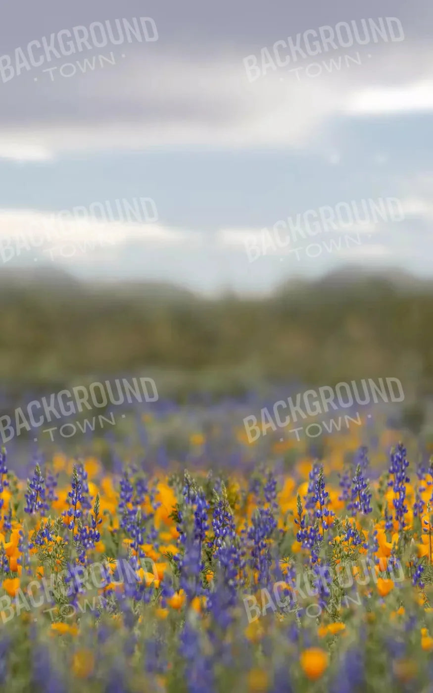 Mexican Poppies 9X14 Ultracloth ( 108 X 168 Inch ) Backdrop
